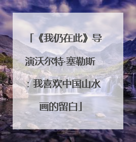 《我仍在此》导演沃尔特·塞勒斯：我喜欢中国山水画的留白