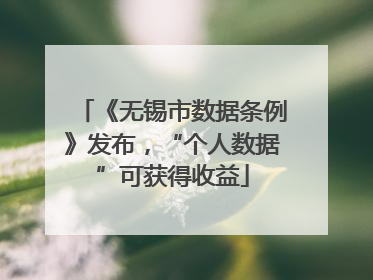 《无锡市数据条例》发布，“个人数据”可获得收益