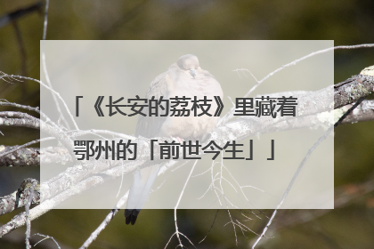 《长安的荔枝》里藏着鄂州的「前世今生」