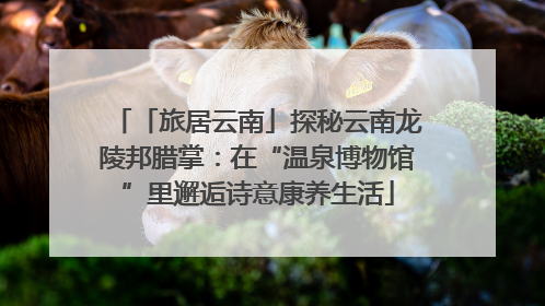 「旅居云南」探秘云南龙陵邦腊掌：在“温泉博物馆”里邂逅诗意康养生活
