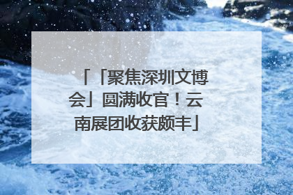 「聚焦深圳文博会」圆满收官！云南展团收获颇丰