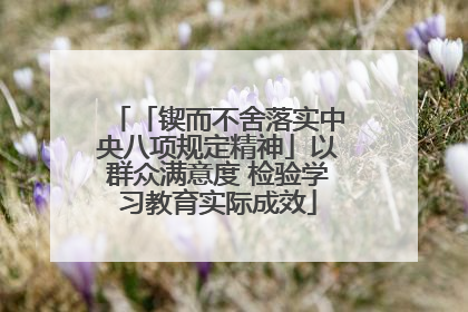 「锲而不舍落实中央八项规定精神」以群众满意度 检验学习教育实际成效