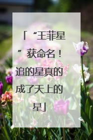 “王菲星”获命名！追的星真的成了天上的星