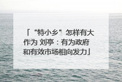 “特小乡”怎样有大作为 刘亭：有为政府和有效市场相向发力