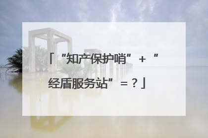 “知产保护哨”+“经盾服务站”=？