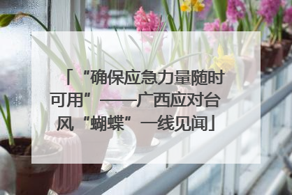 “确保应急力量随时可用”——广西应对台风“蝴蝶”一线见闻