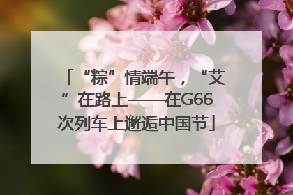 “粽”情端午，“艾”在路上——在G66次列车上邂逅中国节