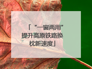 “一窗两用”提升高原铁路换枕新速度