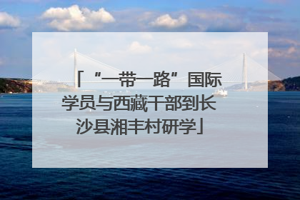 “一带一路”国际学员与西藏干部到长沙县湘丰村研学