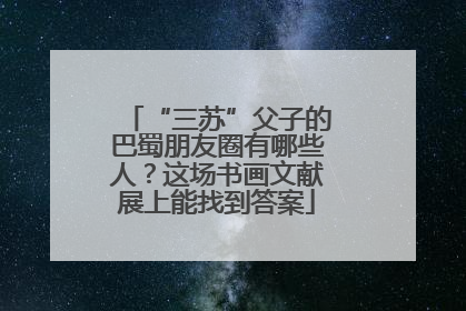 “三苏”父子的巴蜀朋友圈有哪些人？这场书画文献展上能找到答案