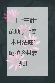 “三进”菌地，“黑木耳法庭”呵护乡村梦想