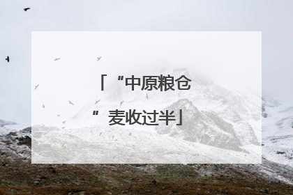 “中原粮仓”麦收过半