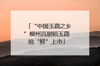 “中国玉藕之乡”柳州百朋镇玉藕抢“鲜”上市