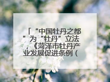 “中国牡丹之都”为“牡丹”立法，《菏泽市牡丹产业发展促进条例（草案建议修改稿）》公开征求意见