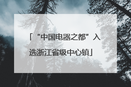 “中国电器之都”入选浙江省级中心镇