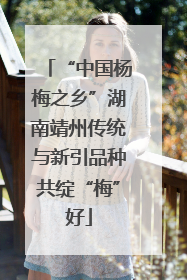 “中国杨梅之乡”湖南靖州传统与新引品种共绽“梅”好