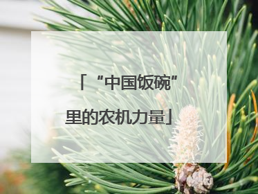 “中国饭碗”里的农机力量