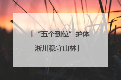 “五个到位”护体 淅川稳守山林