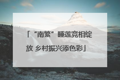 “南繁”睡莲竞相绽放 乡村振兴添色彩