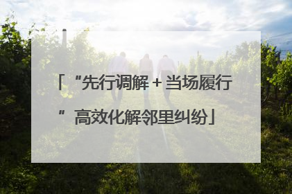 “先行调解＋当场履行”高效化解邻里纠纷