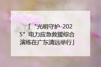 “光明守护-2025”电力应急救援综合演练在广东清远举行