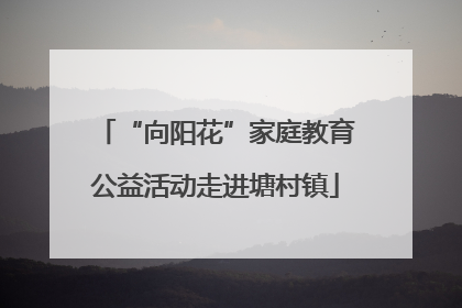 “向阳花”家庭教育公益活动走进塘村镇