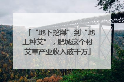 “地下挖煤”到“地上种艾”，肥城这个村艾草产业收入破千万