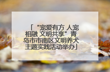 “宠爱有方 人宠相融 文明共享”青岛市市南区文明养犬主题实践活动举办