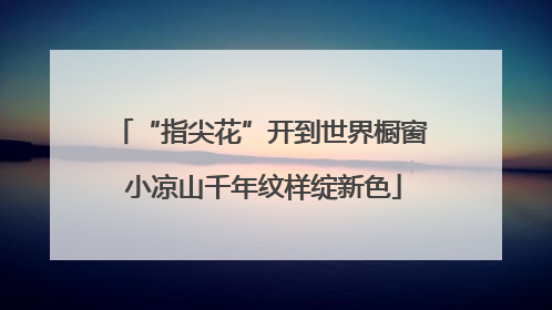 “指尖花”开到世界橱窗 小凉山千年纹样绽新色