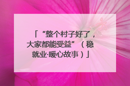 “整个村子好了，大家都能受益”（稳就业·暖心故事）
