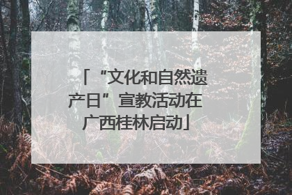 “文化和自然遗产日”宣教活动在广西桂林启动