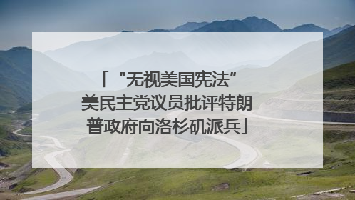 “无视美国宪法” 美民主党议员批评特朗普政府向洛杉矶派兵