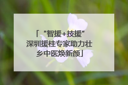 “智援+技援” 深圳援桂专家助力壮乡中医焕新颜