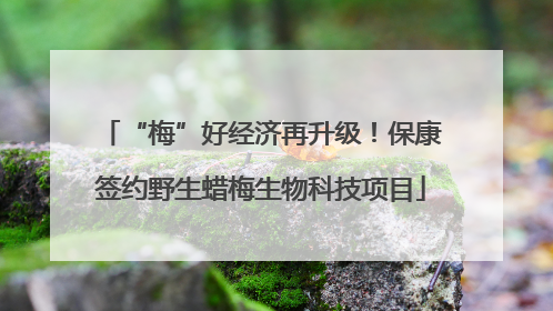 “梅”好经济再升级！保康签约野生蜡梅生物科技项目