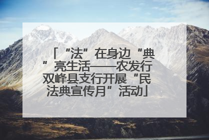 “法”在身边“典”亮生活——农发行双峰县支行开展“民法典宣传月”活动