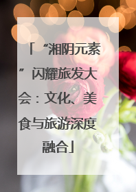 “湘阴元素”闪耀旅发大会：文化、美食与旅游深度融合
