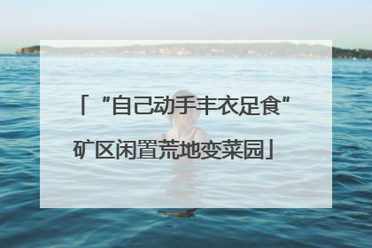 “自己动手丰衣足食”矿区闲置荒地变菜园