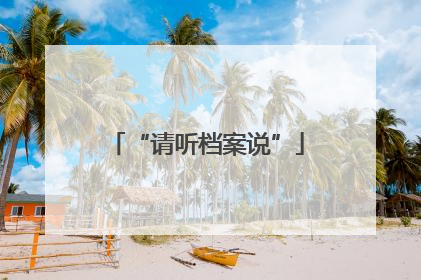 “请听档案说”