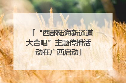 “西部陆海新通道大合唱”主题传播活动在广西启动