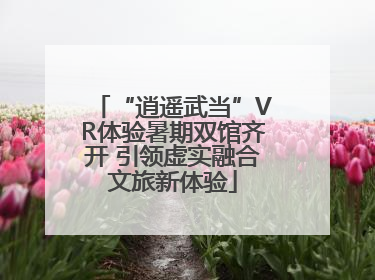 “逍遥武当”VR体验暑期双馆齐开 引领虚实融合文旅新体验
