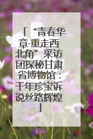 “青春华章·重走西北角”采访团探秘甘肃省博物馆：千年珍宝诉说丝路辉煌