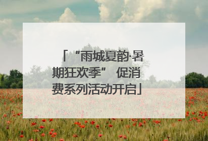 “雨城夏韵·暑期狂欢季” 促消费系列活动开启