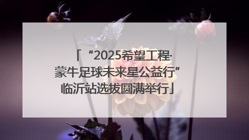 “2025希望工程·蒙牛足球未来星公益行”临沂站选拔圆满举行
