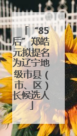 “85后”郑皓元拟提名为辽宁地级市县（市、区）长候选人