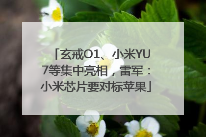 玄戒O1、小米YU7等集中亮相，雷军：小米芯片要对标苹果