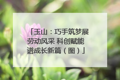 玉山：巧手筑梦展劳动风采 科创赋能谱成长新篇（图）