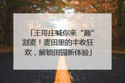 王哥庄喊你来“趣”割麦！麦田里的丰收狂欢，解锁田园新体验