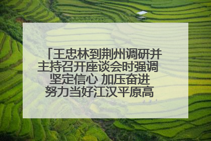 王忠林到荆州调研并主持召开座谈会时强调 坚定信心 加压奋进 努力当好江汉平原高质量发展排头兵