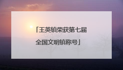 王英镇荣获第七届全国文明镇称号