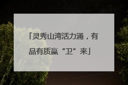 灵秀山湾活力涌，有品有质赢“卫”来